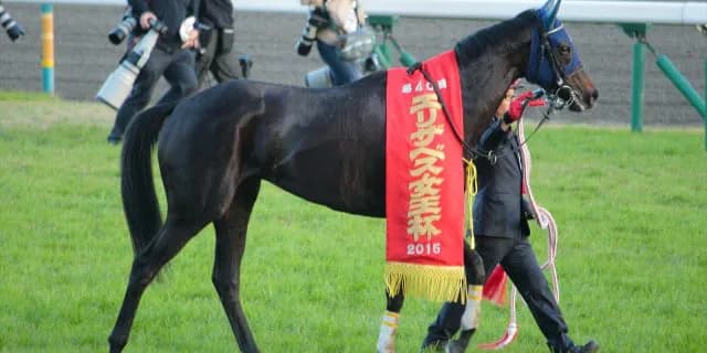 【宝塚記念2016出走馬】牝馬なのに長距離系？マリアライトに迫る