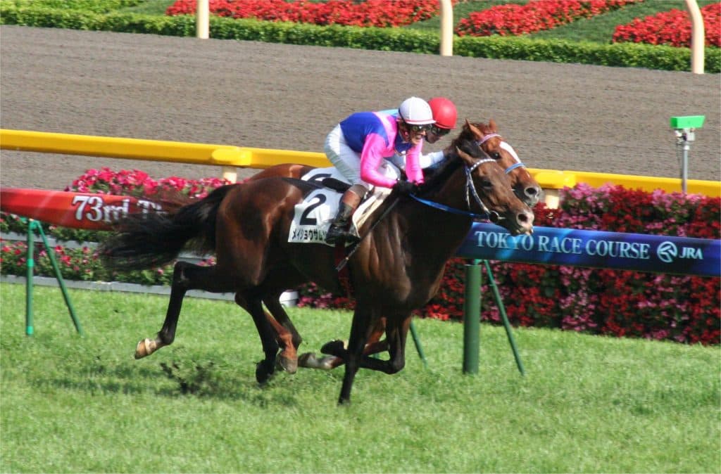 【JRA】メイショウサムソン亡くなる、心不全により