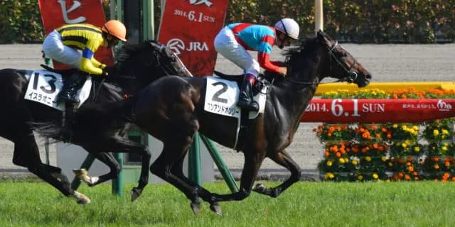 【宝塚記念2016出走馬】復活請負人？田辺に期待の掛かるワンアンドオンリー