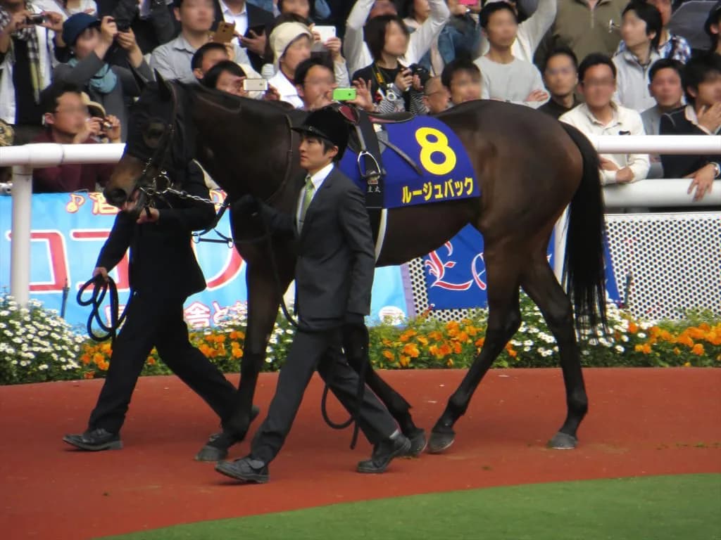 【エリザベス女王杯2017予想】ルージュバックいよいよ戴冠の時！