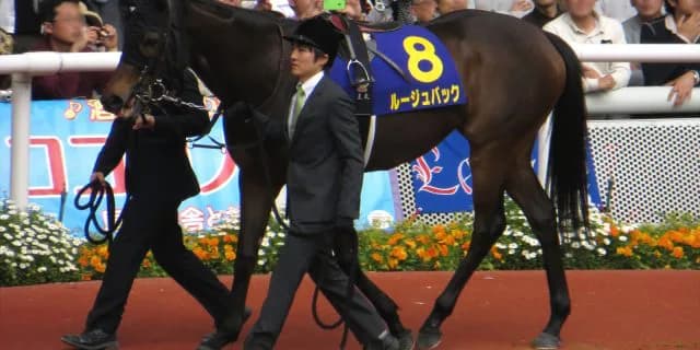 【エリザベス女王杯2017予想】ルージュバックいよいよ戴冠の時！