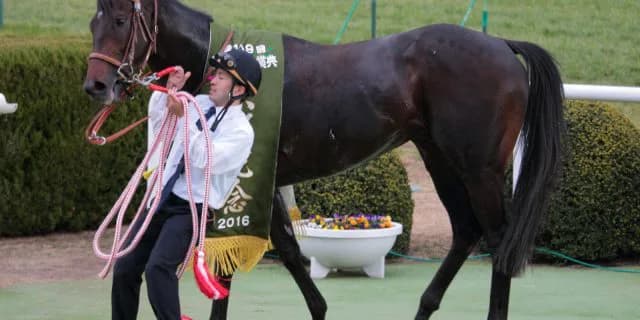 【京都記念2017結果】サトノクラウン連覇達成！重賞2連勝！