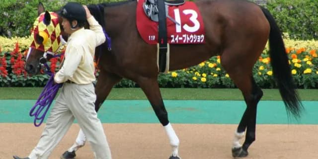 【宝塚記念2016予想】牝馬勝利に高い壁。馬力が必要な宝塚記念