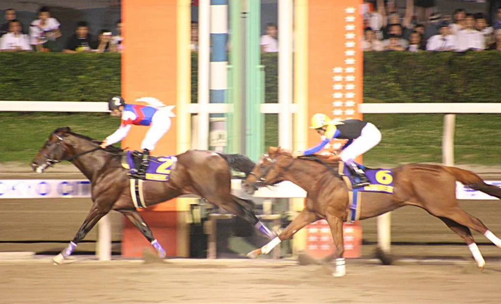 【帝王賞2016予想】各世代代表のノンコノユメ・アスカノロマン・コパノリッキー・ホッコータルマエ、ダート最強決定戦を制するのはどの馬だ？！