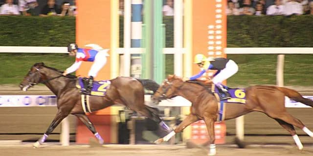 【帝王賞2016予想】各世代代表のノンコノユメ・アスカノロマン・コパノリッキー・ホッコータルマエ、ダート最強決定戦を制するのはどの馬だ？！