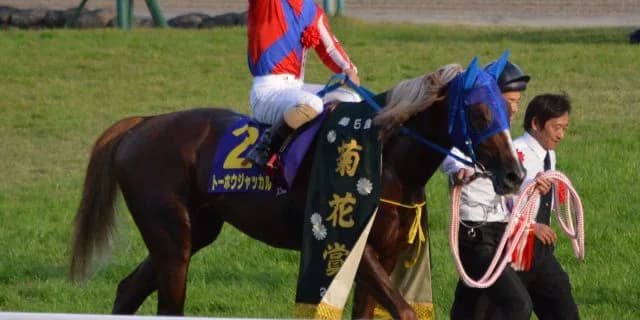 【ジャパンC】トーホウジャッカル回避、金鯱賞へ