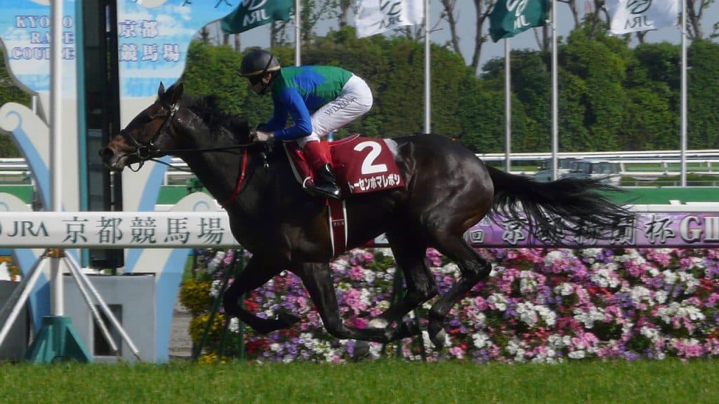 格安にもかかわらずスピード・成長力を兼ね備えた新種牡馬とは？