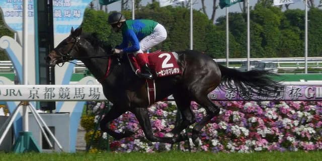 格安にもかかわらずスピード・成長力を兼ね備えた新種牡馬とは？