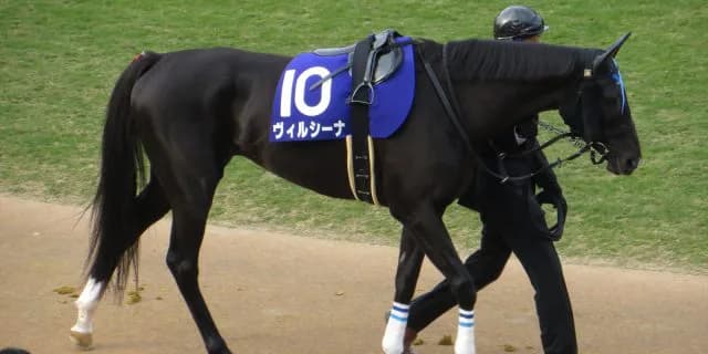 【宝塚記念2016出走馬】大器晩成、シュヴァルグランに注目だ！