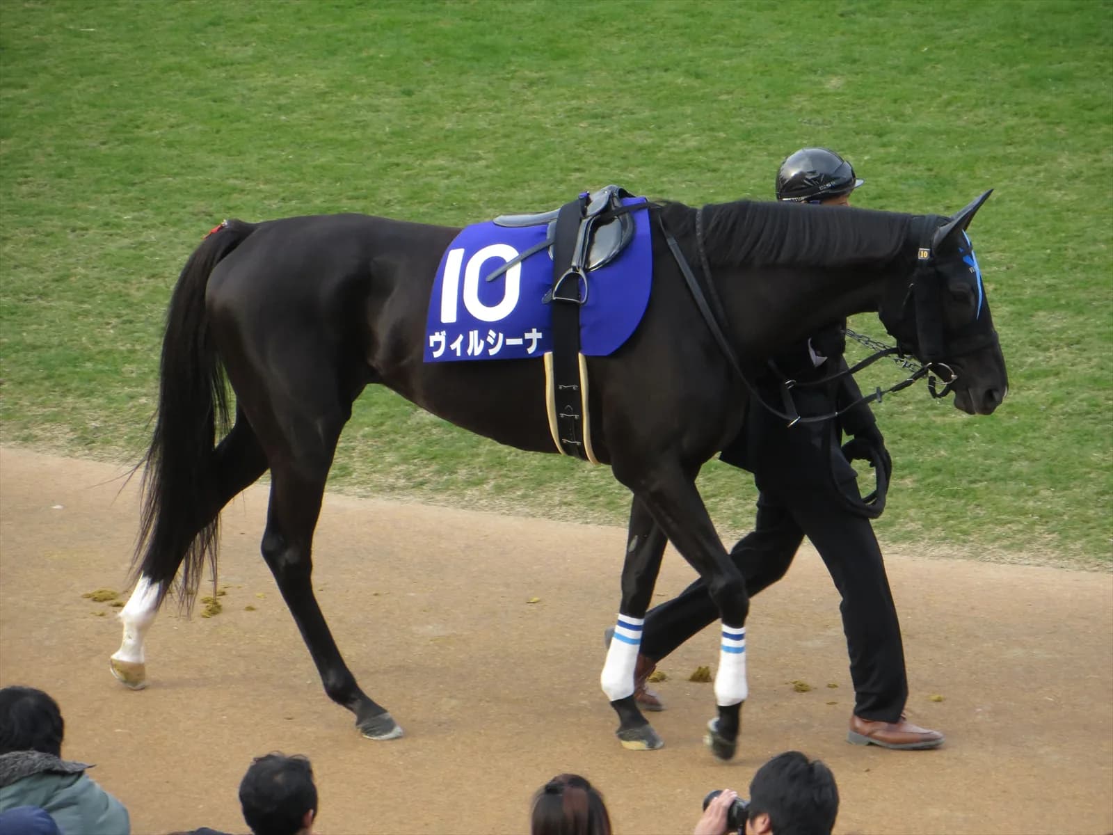 【注目新馬】良血ブラヴァス、鞍上には意外性のある武豊起用