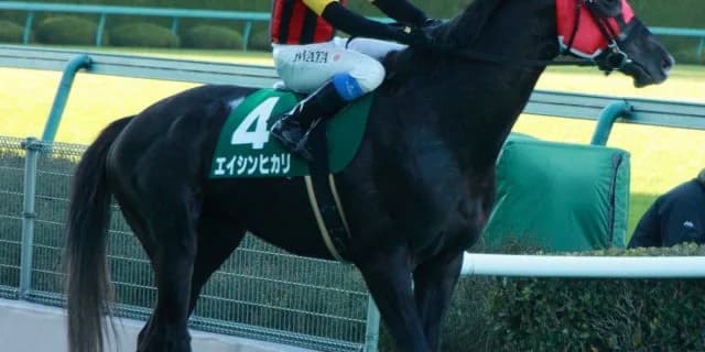 エイシンヒカリが世界ランキング1位に。IFHAがレーティング最新版発表