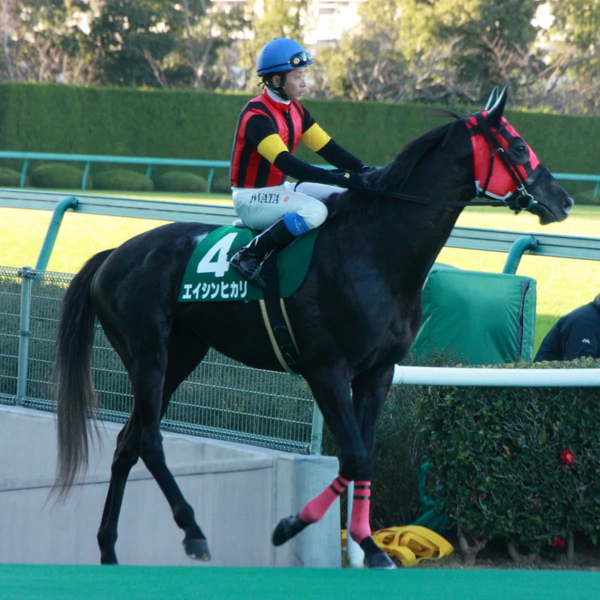 エイシンヒカリ引退、種牡馬に