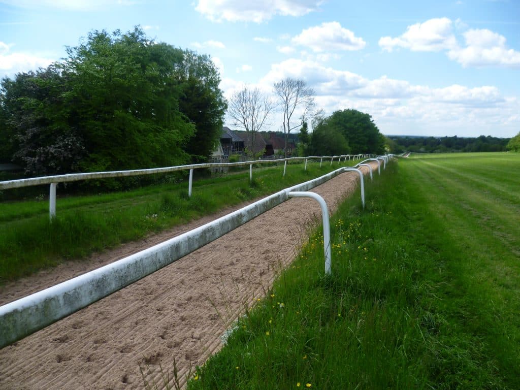【函館スプリントS2016予想】初の1200m重賞でティソーナが快勝しそうな！？