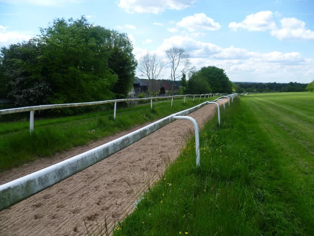ホウライアキコが現役を引退。繁殖牝馬に。