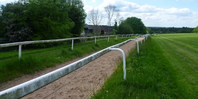 【函館スプリントS2016予想】初の1200m重賞でティソーナが快勝しそうな！？