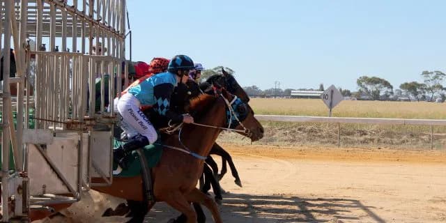 【オークス回顧】今後もオークスは別路線組にチャンスあり