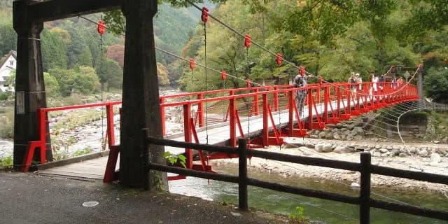 フルゲート×2の登録数！大人気の特別戦・香嵐渓特別