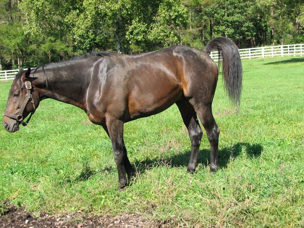 4年遅れの祝勝会