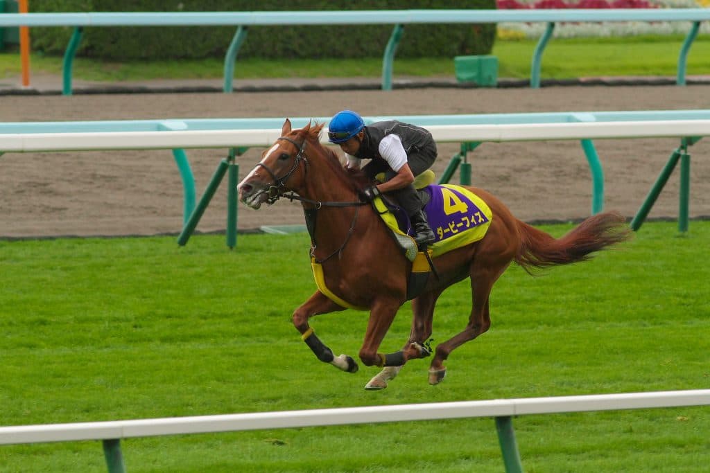 【函館記念2016予想】北海道シリーズの秘密兵器・ダービーフィズが大波乱を巻き起こす！