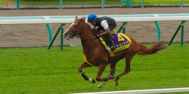 ダービーフィズ、引退。今後は千葉で乗馬へ