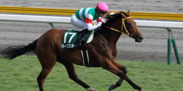 【追憶の名馬面】ベガ