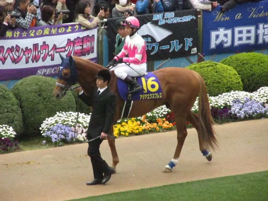 セレクトセールに異常あり？まさかのあの血統が1億超えで落札！