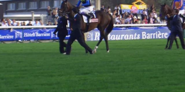 種牡馬ディープインパクトが史上最速でJRA1700勝を達成