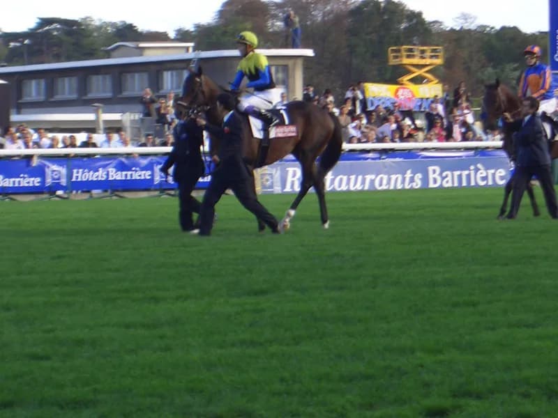 種牡馬ディープインパクトが史上最速でJRA1700勝を達成