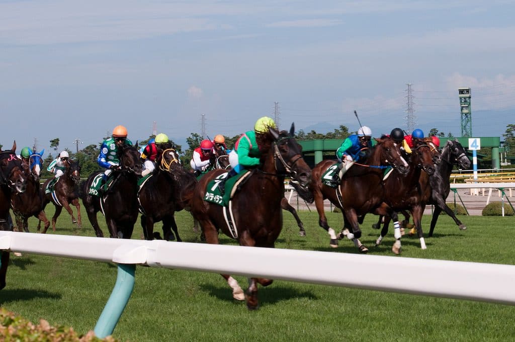 【アイビスサマーダッシュ2016予想】直千巧者の3頭が激突！
