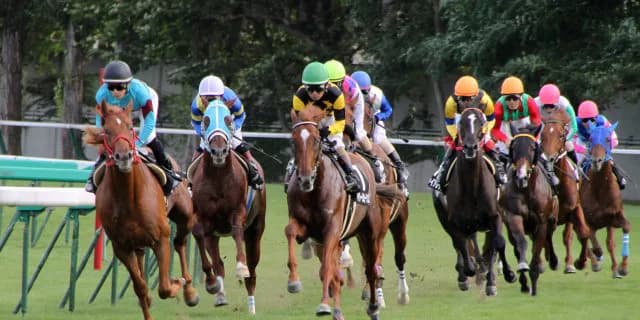 【東海S予想2018】テイエムジンソクを倒すのはフレッシュなこのコンビか！？