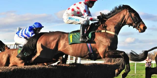 【小倉サマージャンプ2016予想】マキオボーラー、ここは絶好の舞台