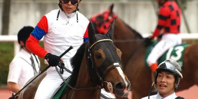 4年連続定員割れの不人気準オープンながら素質馬の出走する佐世保ステークス