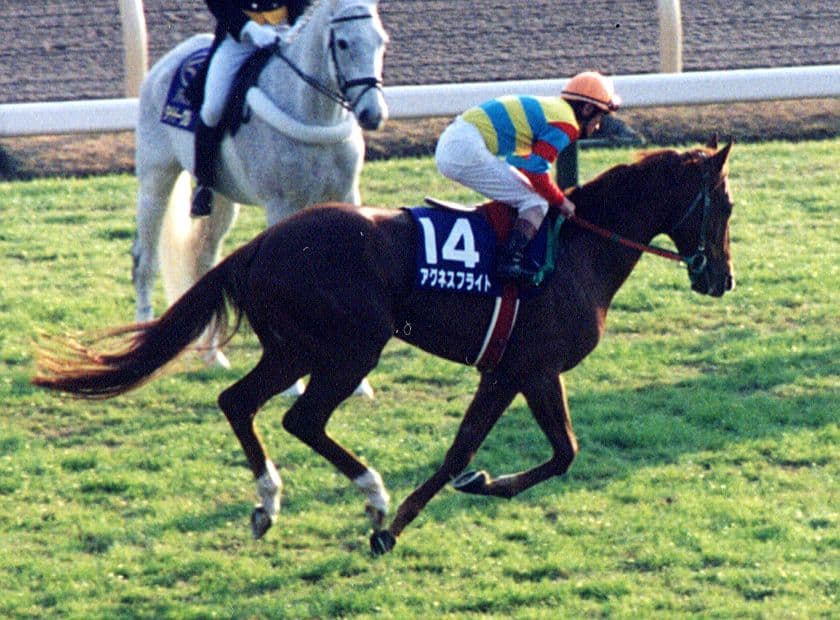 【追憶の名馬面】アグネスフライト - 2/3