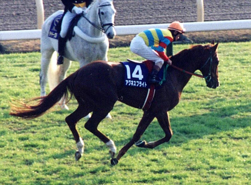 【追憶の名馬面】アグネスフライト - 2/3