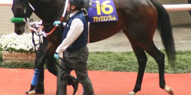 古町特別・アストラエンブレム仕上がり良好。