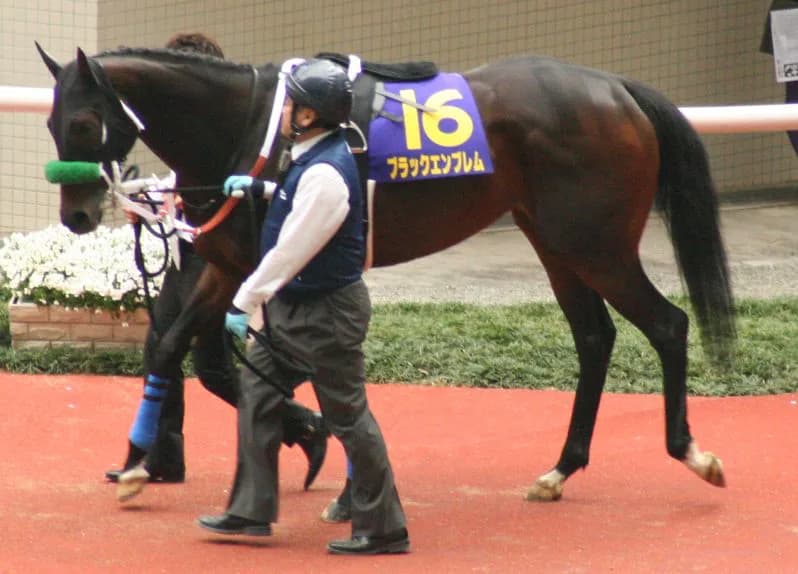 古町特別・アストラエンブレム仕上がり良好。