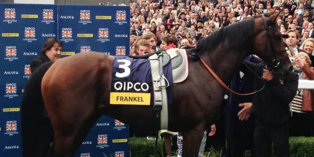 【アイビーS予想2016】ソウルスターリングが格の違いを見せる！！