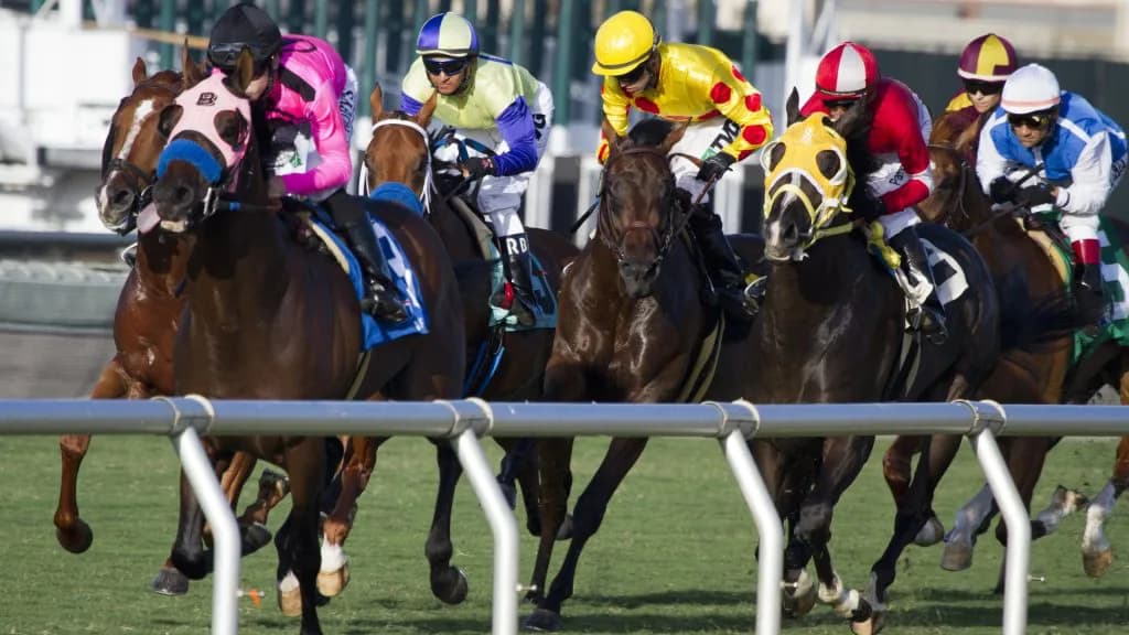 【いわき特別】クィーンズベスト止められる馬は果たしているか？