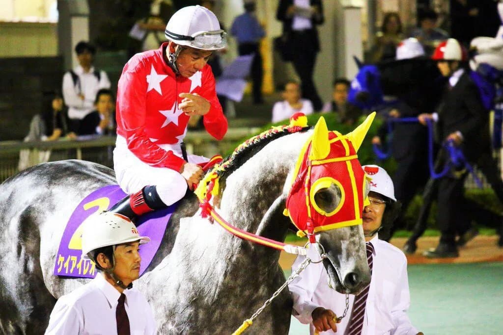 【マーキュリーC2016予想】中央勢危うし？！レジェンド的場文男騎手がケイアイレオーネで地方交流重賞制覇も！