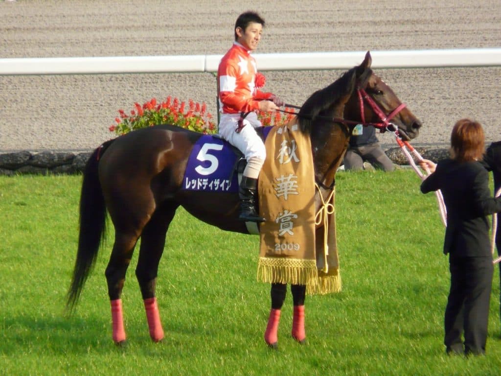 クラブ馬1歳馬募集ピークに。