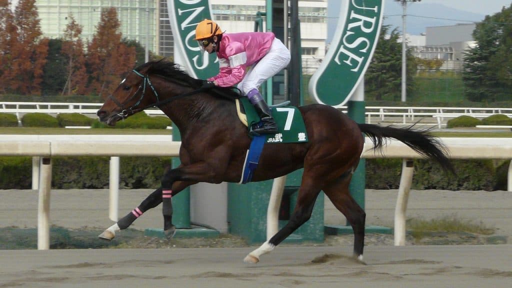 温厚で有名な武豊騎手がレース後ブチ切れ！！検量室が凍り付いた。