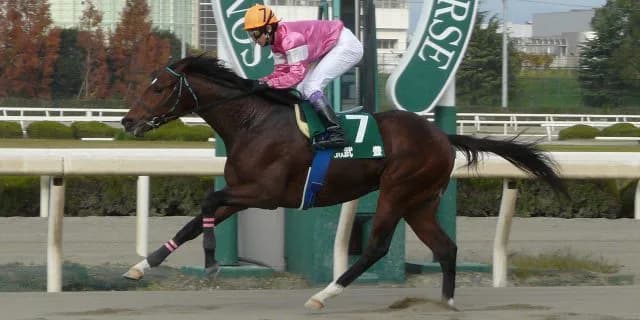 温厚で有名な武豊騎手がレース後ブチ切れ！！検量室が凍り付いた。