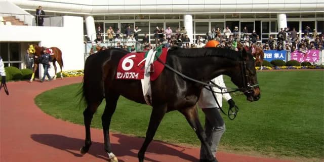 ゼンノロブロイ2頭の後継種牡馬で捲土重来なるか？