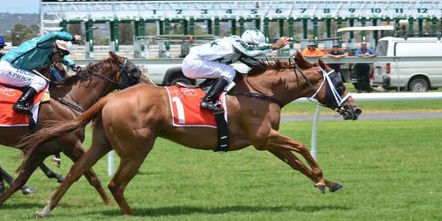 クラスによって見どころは違う。