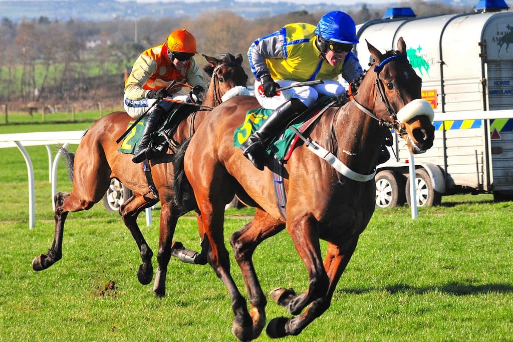 【佐渡S注目馬】夏は牝馬マローブルーが再スタートを決める。