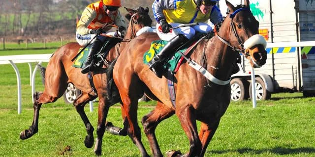 【佐渡S注目馬】夏は牝馬マローブルーが再スタートを決める。