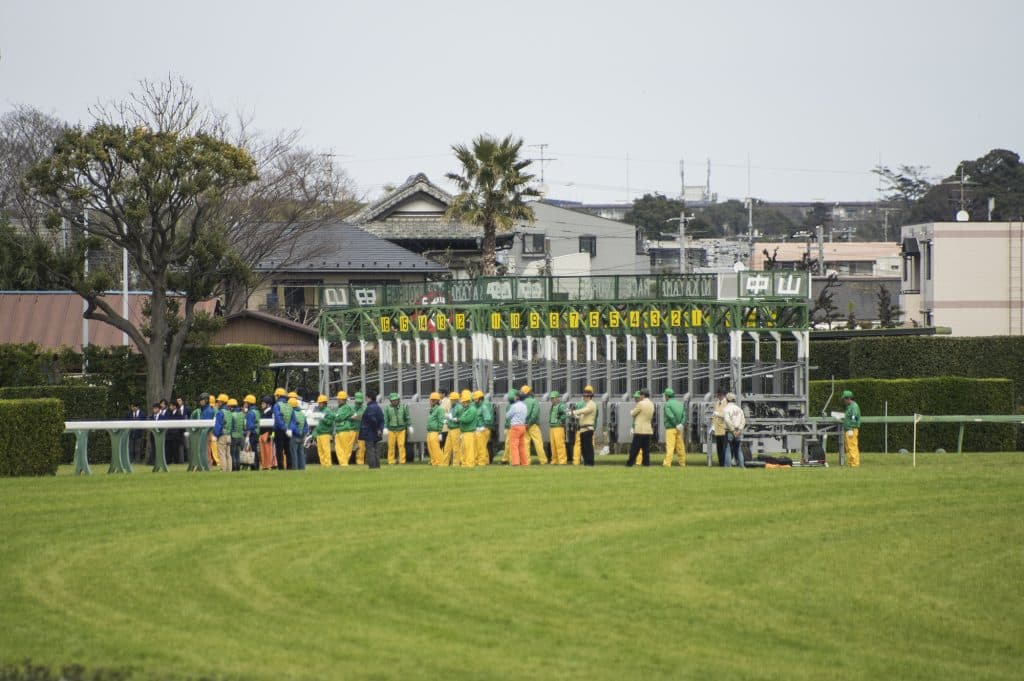 【湾岸S予想2017】ヤネの勢い＆コース適性で良血馬を蹴散らせイチダイ！
