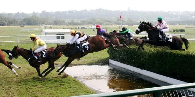 最近障害レースが変わった。