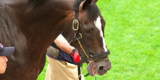 【追憶の名馬面】スペシャルウィーク 最終話「最後の宿敵」