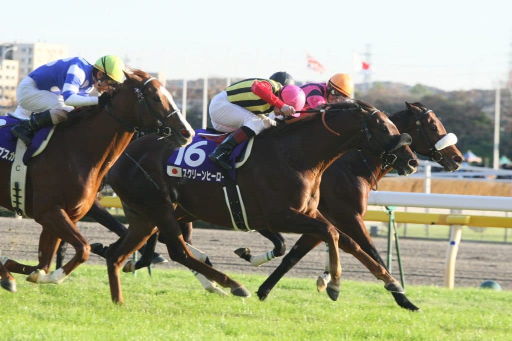 【札幌2歳S2016予想】地方馬大物トラスト最終試験